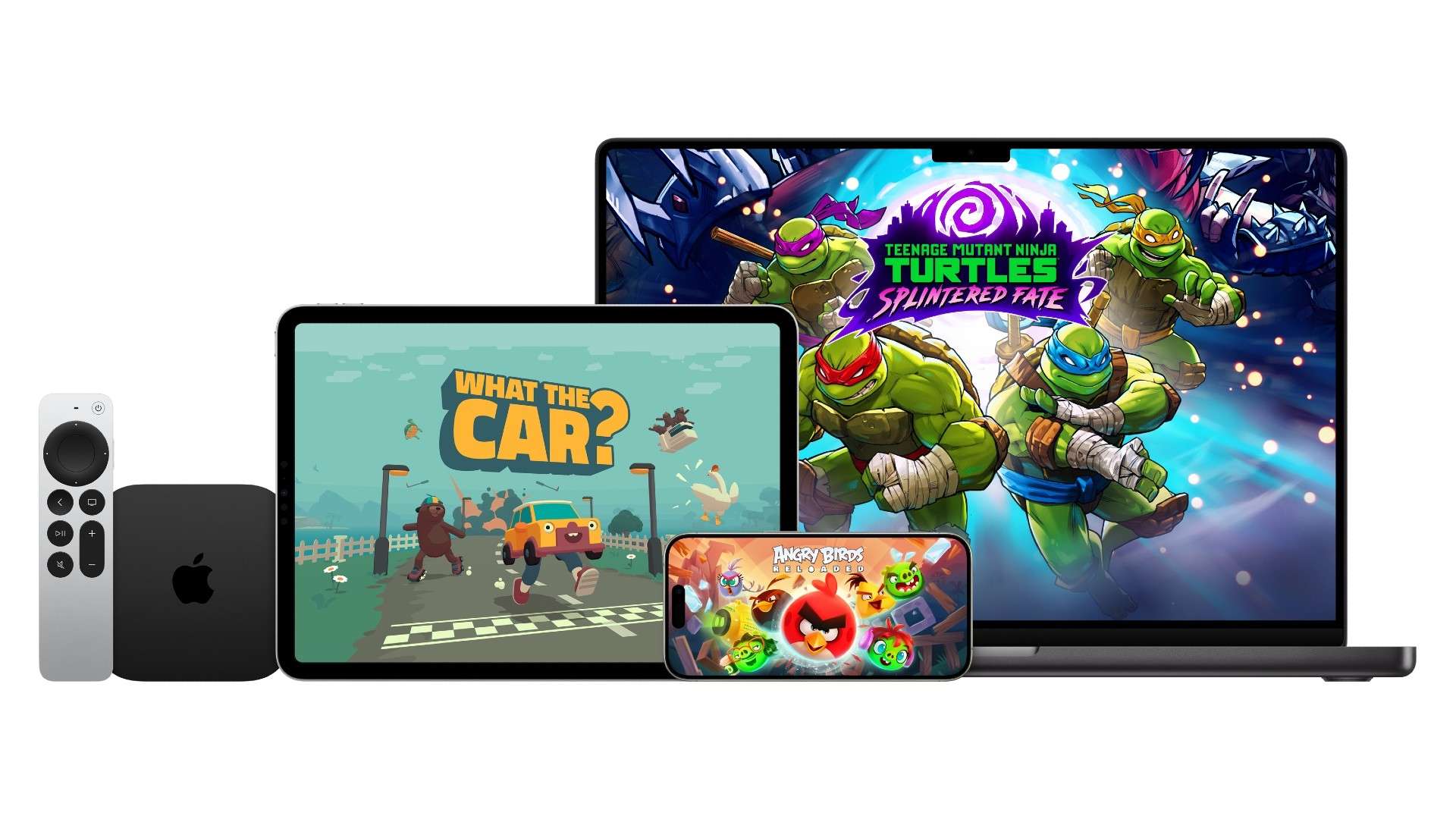 从效力荷甲 从效力荷甲